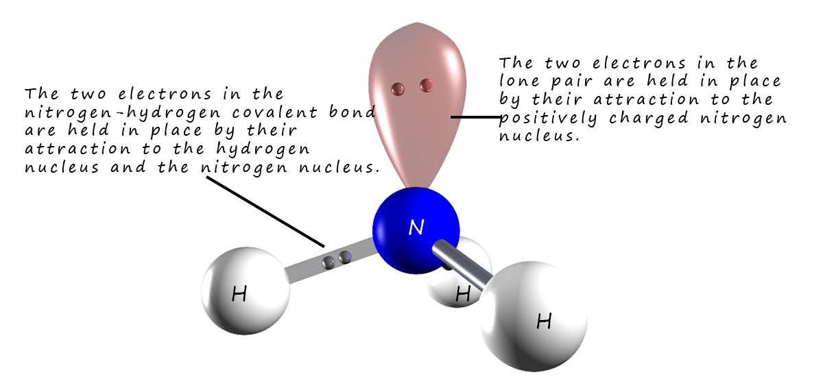 ammonia molecule has one lone pair of electrons
